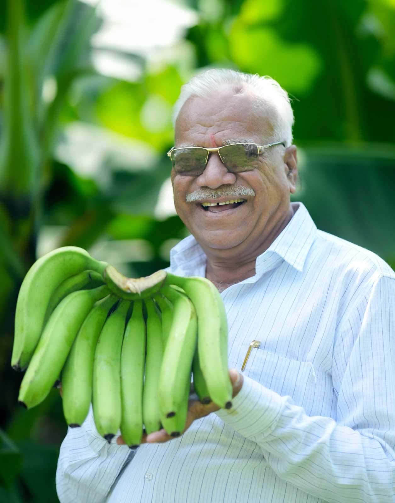 Premium Cavendish Banana Export India