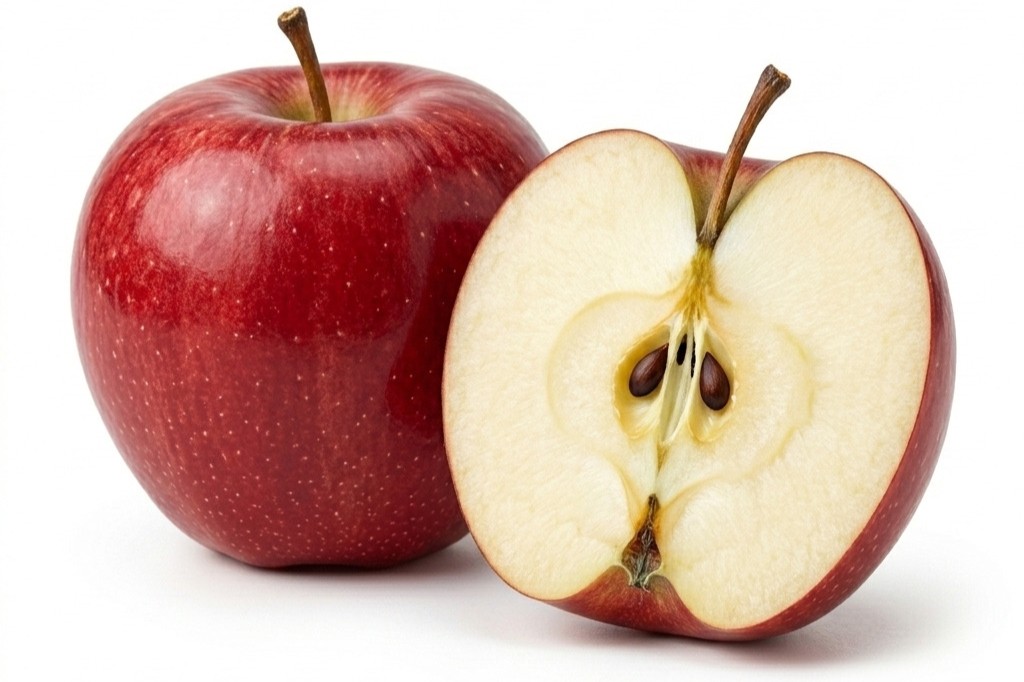 Premium Cavendish Banana Export India