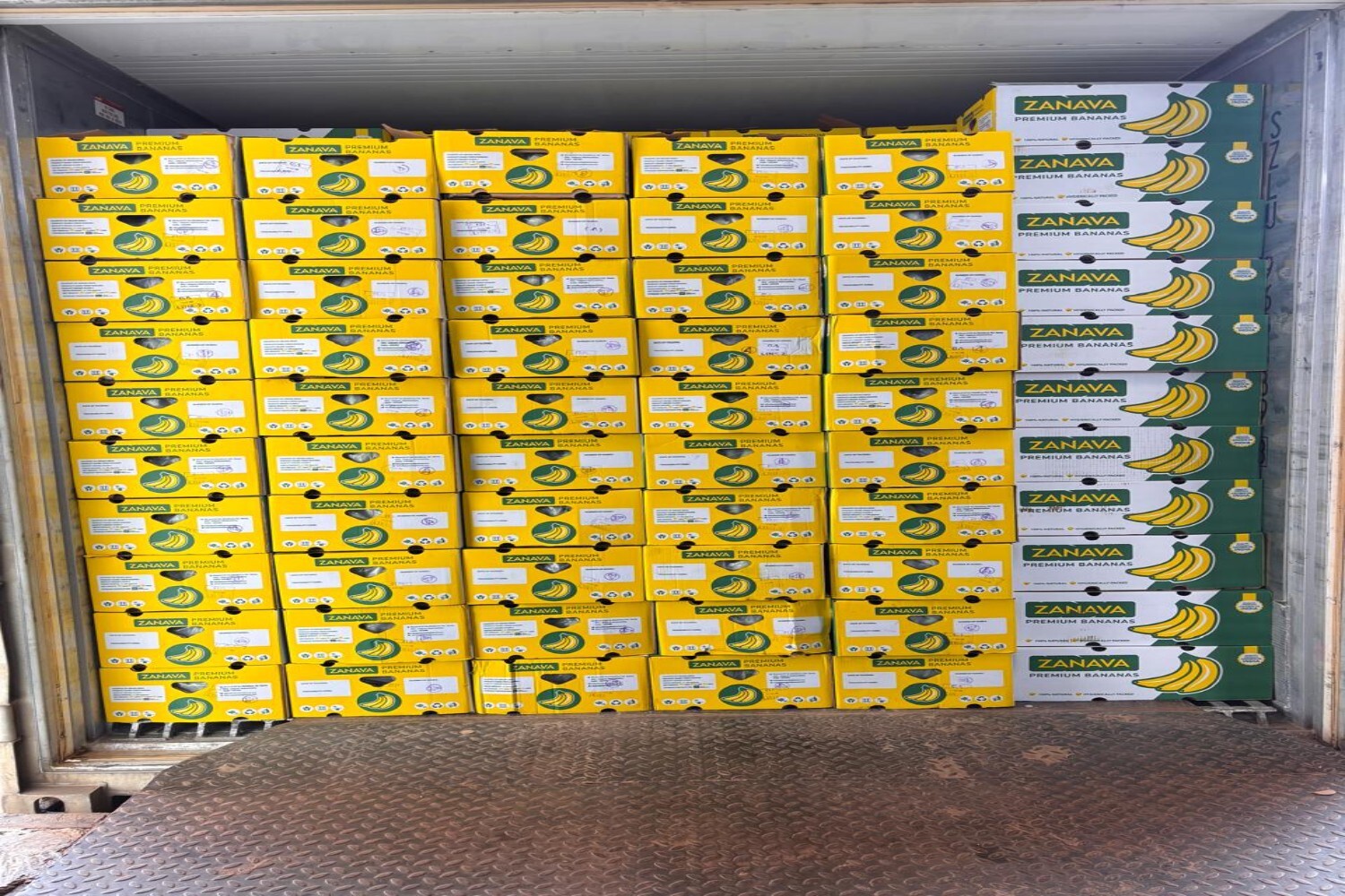 Premium Cavendish Banana Export India