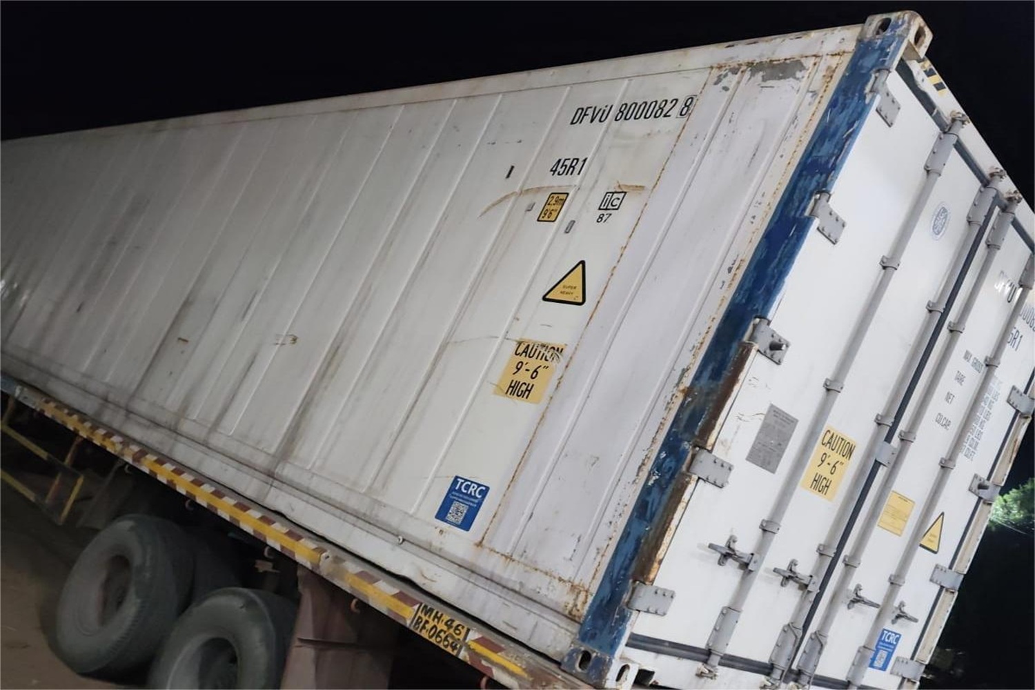 Premium Cavendish Banana Export India